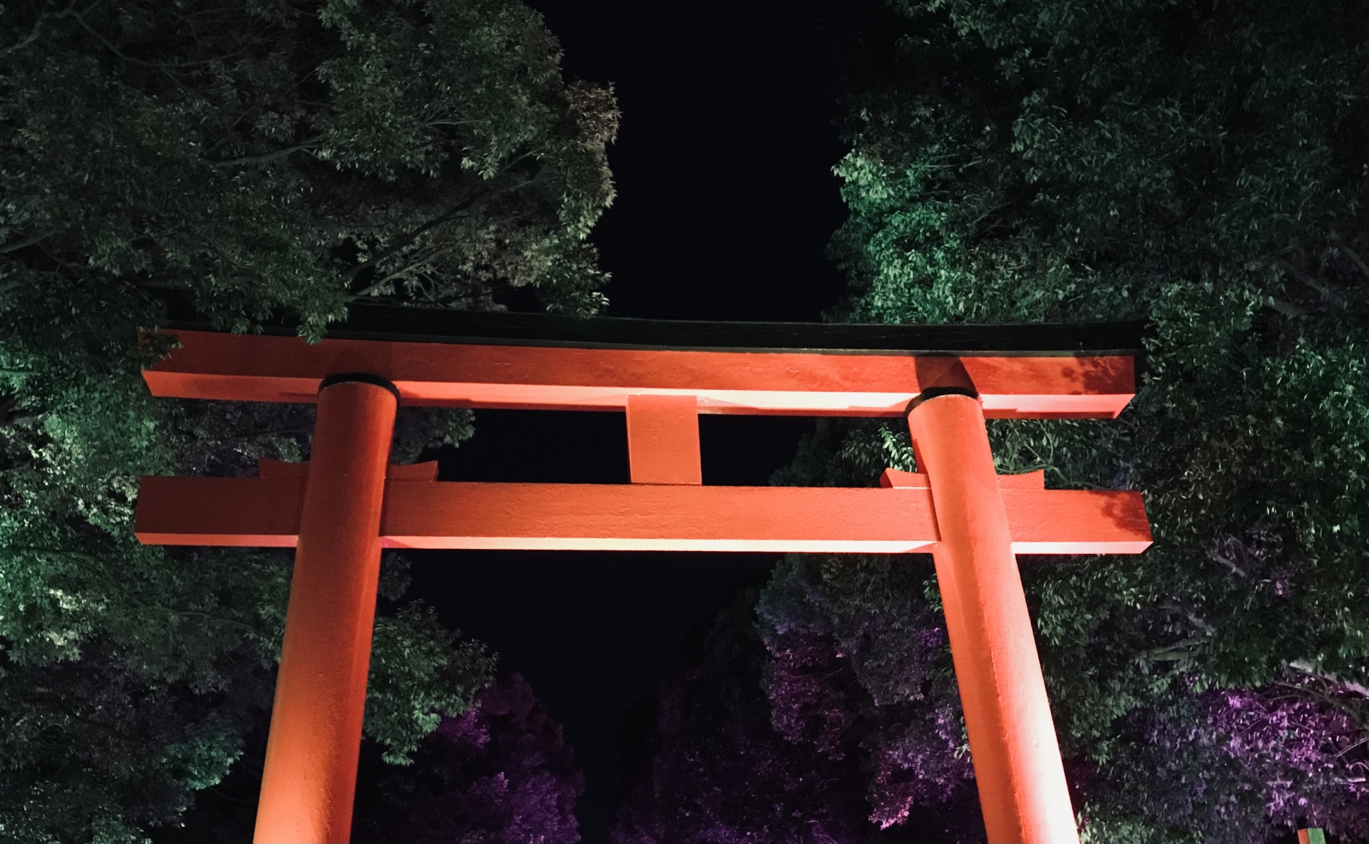 夜の神社